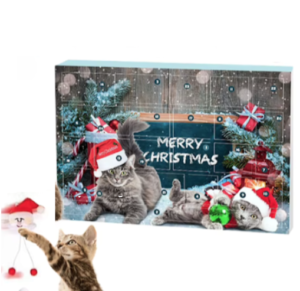 Adventskalender – Interaktives Katzenspielzeug